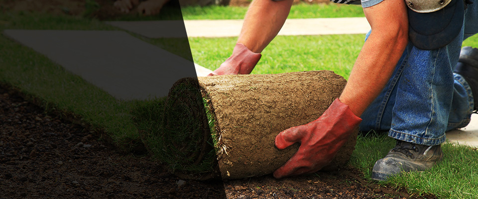 Ladys Island Landscapers